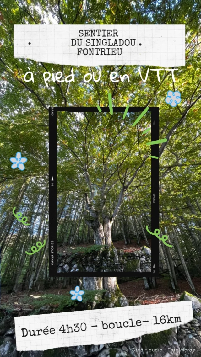🧢[Rando de la semaine]🥾 En route pour le sentier du Singladou. Il vous transporte à travers des forêts ancestrales, des ruisseaux murmureurs et des rochers sculptés par le temps. Au cœur de ce voyage, les tourbières se révèlent, des joyaux naturels rares et fascinants. Laissez-vous captiver par la danse silencieuse des libellules et le chant des oiseaux cachés !🌲⏰Boucle de 4h30 - 16km 👉Lien vers la fiche rando et la trace GPX : https://bit.ly/SentierDuSingladou
#Randonnée #Sidobre #Nature #Aventure #Tarn #Occitanie